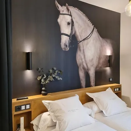 Sol Boutique 산탄데르